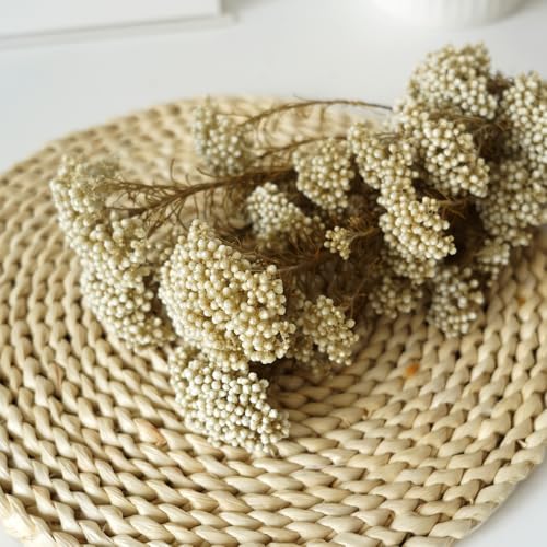 Natural Preserved Millet Flowers Dried Bouquet Flowers and Plants Arrangements for Home and Wedding Decoration (Lvory White) - color: Lvory White