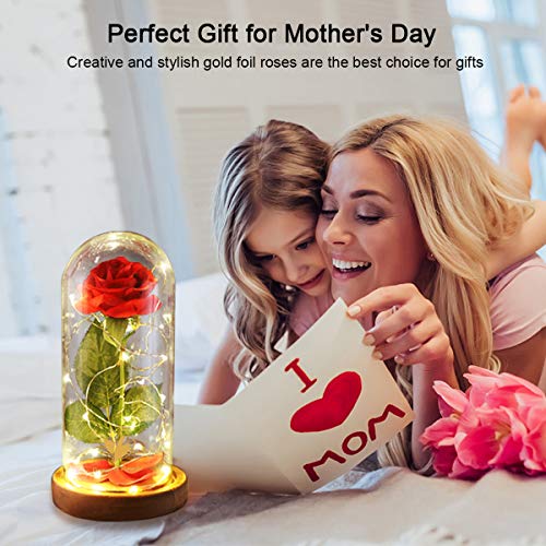 Beauty and The Beast Rose Mothers Day Forever Preserved Flower Rose Gifts for Mom, Birthday Gifts for Women, Red Rose for Grandma, Eternal Rose in Glass Dome with LED Lights, Flowers Gift for Love - color: Red Rose