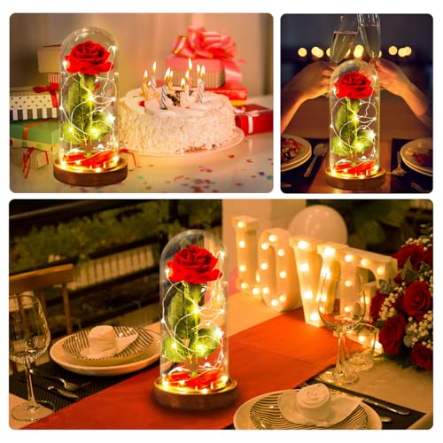 Mothers Day Flowers Roses Gifts for Mom Beauty and The Beast Rose,Red Rose in Glass Dome with 2 Lights Modes, Valentines Flower Gifts for Women Mom Wife Girlfriend on Valentines Anniversary,Birthday - color: Beauty and Beast Brown