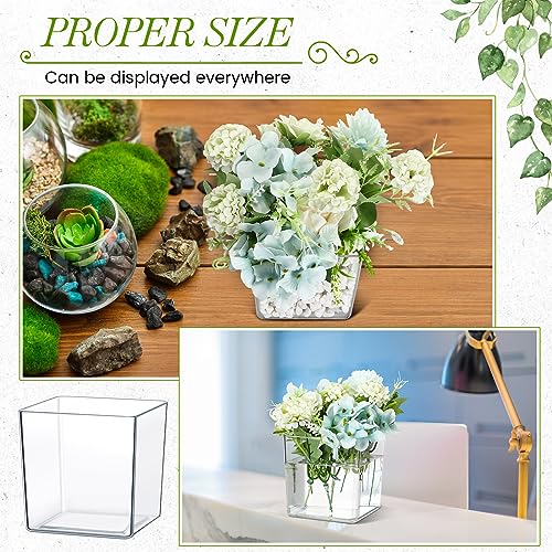 Tioncy 4'' x 4'' 24 Pcs Cube Clear Flower Vase Acrylic Flower Vase Square Acrylic Container Cube Decorative Centerpiece for Plant Home Office Floral Decor - size: 4'' x 4''