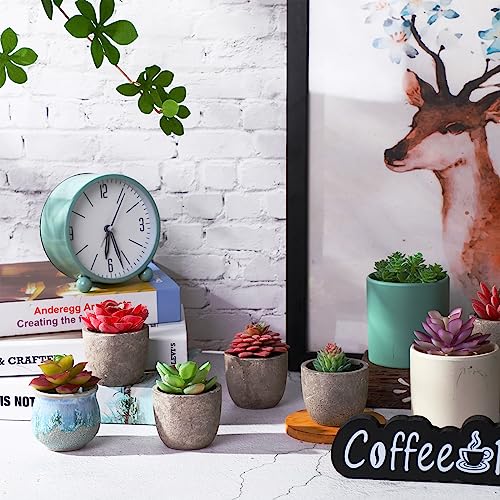WILLBOND 50 Pcs 50 Pcs Bulk Mini Artificial Succulents Plants Assorted Unpotted Realistic Plants Fake Textured Succulent Picks Realistic Plastic Cactus Stems for Garden Home Decor (Large Style) - color: Large Style
