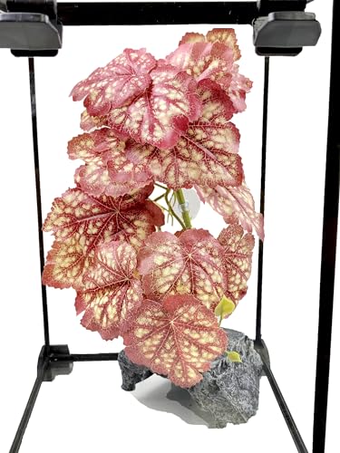 Woyrise Reptile Plants, Terrarium Hanging Plants Vines for Reptile Tank, Amphibian Habitat Leaves Decor with Suction Cup for Bearded Dragon Lizard Snake Gecko Frog Hermit Crab - 2Pcs Pink Heuchera - color: Pink Heuchera