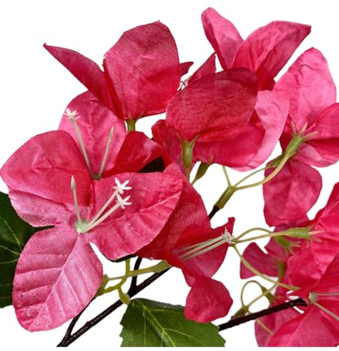 Pack of 16 - Artificial Bougainvillea Flower Stems Silk Bougainvillea Long Branches Full Blossoms for Home Wedding Table Centerpiece Shower Event Backdrop Indoor Outdoor Decorations (Fuchsia) - color: Fuchsia