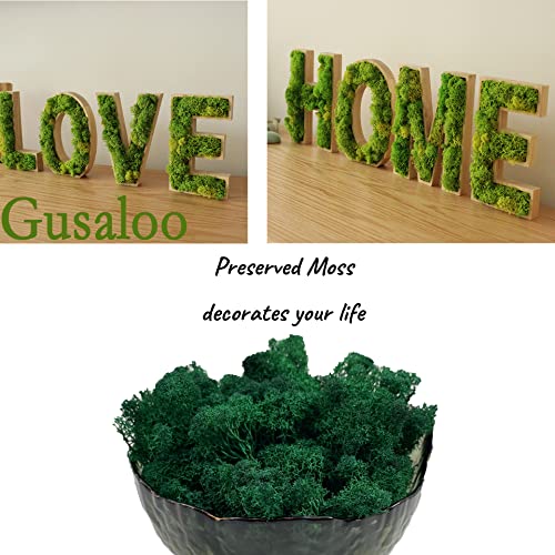 Moss Preserved Artificial Moss Natural Fresh Green Moss for Craft Arts Floral Project Wall Decor Table Decor Wedding Centerpieces Garden Terrariums Decoration -Dark Green 3.5OZ - color: Darkgreen, size: 3.5oz