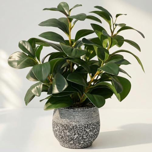 SHOHAYTO Artificial Plants for Home Decor - 13.2 Inch Fake Ficus Tree in Cement Planter, Real Looking Potted Faux Plants for Office Desk, Kitchen Shelf, Bookshelf & Indoor Decor - color: Green Artificial Plants