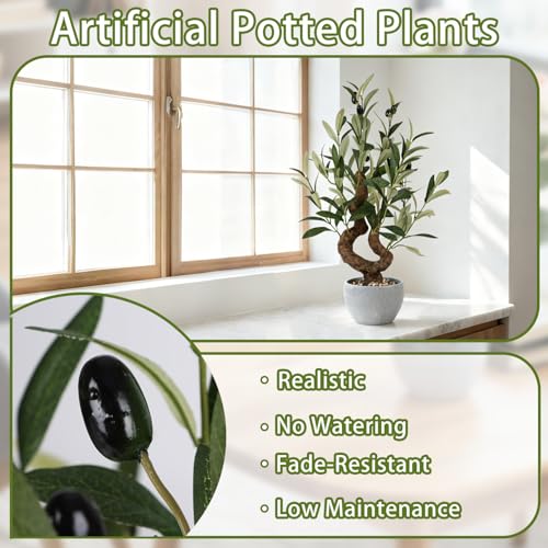 TOARTi Artificial Olive Tree Potted Plant with Stone Pot, 10" Tall Japanese Bonsai Tree Faux Plants Desk Plant, Realistic Greenery Decor for for Home Bedroom Bathroom Office Desk - color: Olive-single Stem Small Arc 10''