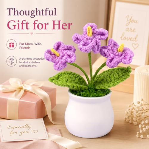 Crochet Flower Bouquet,Forget Me Not Flowers Pot Crocheted Flowers for Women Mom Wife, Perfect for Home Decorations Office Desk