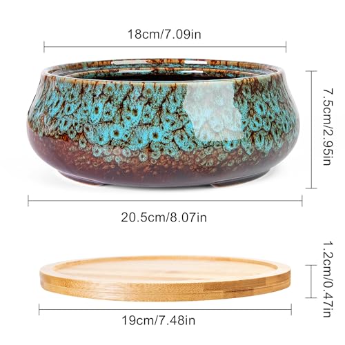 ARTKETTY Succulent Pots - 8 Inch Plant Pot, Large Bonsai Pots with Drainage Tray, Ceramic Planters for Indoor Outdoor Plants, Round Shallow Cactus Flower Plant Container Bowl Decorative Home Garden - color: Blue