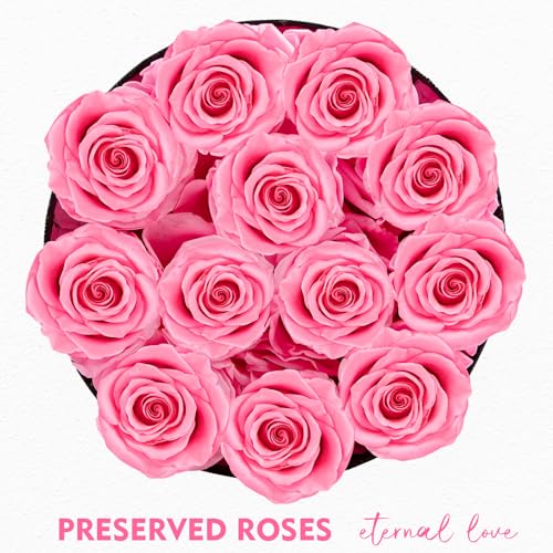 Impouo Forever Flowers, 12 Roses in A Box, Real Preserved Roses, Birthday Gift for Women, Mother's Day, Anniversary, Red Rose (Pink, 12 Rose) - color: Pink, size: 12 Rose