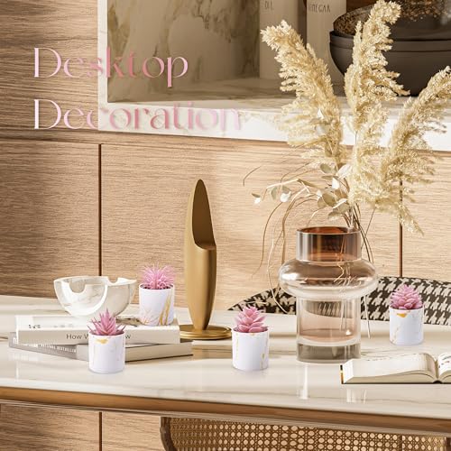 Der Rose Set of 4 Succulents Plants Artificial for Office Desk Accessories for Women Pink Home Decor - color: 4-pink