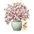 Freshcut Paper Japanese Cherry Blossoms 12 Inch Life-Sized 3D Pop Up Card – Greeting Card, Birthday, Mothers Day, Thank You, Gifts for Mom and Her – Includes Notecard and Envelope - color: Japanese Cherry Blossoms, size: Classic