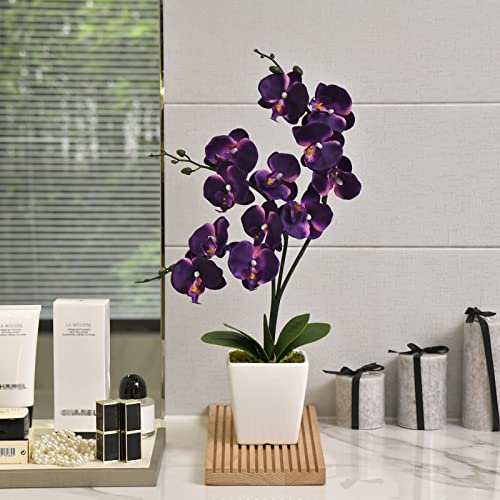 15" Tall Artificial Silk Phalaenopsis Orchid Flower Plant Pot Arrangements (Dark Purple) - color: Dark Purple
