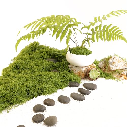 Light Green Moss for Crafts、 Artificial Moss Decorative for Glass Vase Filler Wedding/Christmas/Fairy Party/Indoor Planters/DIY Rainforest Model/Table Centerpieces (2.1 OZ) - color: Light Green