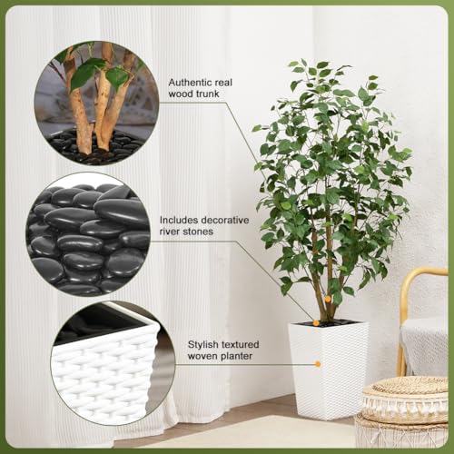 VeriNatural 5ft Artificial Ficus Tree,Tall Faux Tree with Pebbles & Planter UV Resistant Potted Fake Plant with Silk Leaves & Real Wood Trunk,Indoor Outdoor Floor Plant for Home,Living Room,VN129 - color: White, size: 5ft