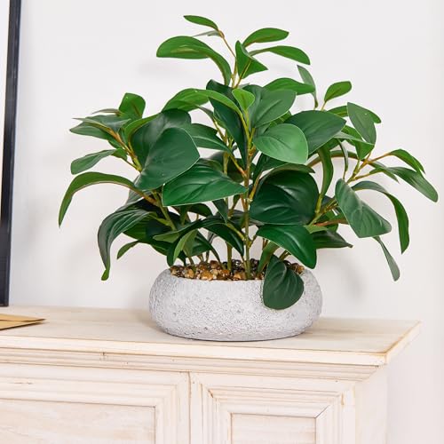 K&Y Realistic Artificial Potted Plants Olive Wild Fern Berry Decor Low Maintenance Faux Greenery Indoor Fake Plants for Home Office Bathroom Kitchen Desk Shelf (Gray Flowerpot Potted Plant) - color: Gray Flowerpot Potted Plant