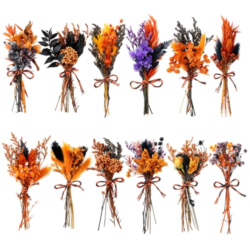 10/12/24/36 Pack Mini Dried Flowers for Vase Summer Halloween Wedding Various Mini Bouquet Dried Small Wildflowers Natural Flowers Bulk for Crafts DIY Decor (12, Orange Black 1) - size: Orange Black 1