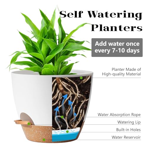 Self Watering Plant Pots with Drainage & Saucers, 5-Pack 7/6.5/6/5.5/5 in - Plastic Flower Pots for Indoor Plants, Succulents & Herbs, Planters for Indoor Outdoor & Balcony (White) - color: White