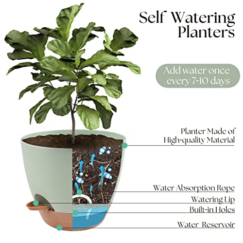 TYMENSH Plant Pots 12/10/9 Inch Set of 3, Self Watering Planters with Drainage Holes and Water Reservoir, Heavy Duty Plastic Flower Pots for Indoor Outdoor Plants, Green - color: Green