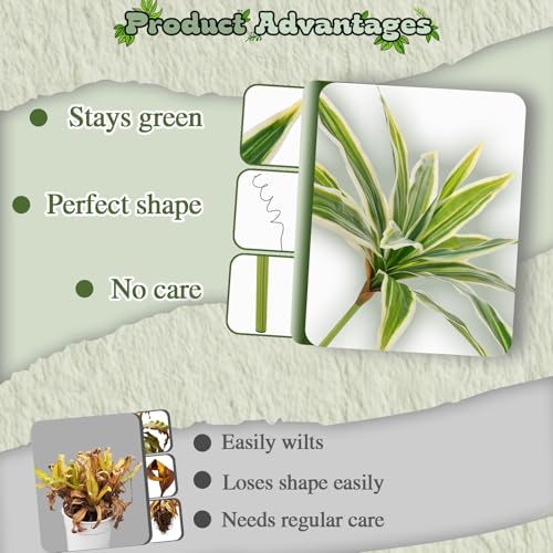 ucky 19.5" Artificial Dracaena Leaves Branches (20 Leaves, White-Edged Green), High-Fidelity Modern Fake Plants Bush for Housewarming Gift - color: 2pcs White-edged Green, size: 20 Leaves