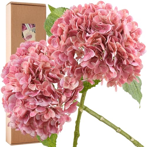 FiveSeasonStuff Real Touch Silk (Magenta Pink) Hydrangea Flowers, 2 Large Long Stem Artificial Flowers for Floral Arrangements - color: Magenta Pink (2 Stems)