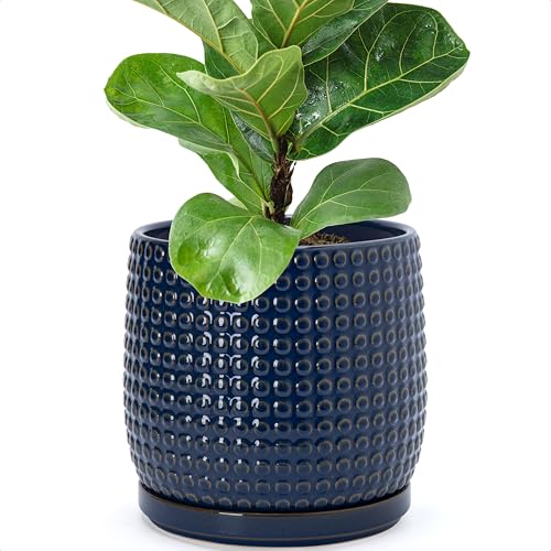 D'vine Dev 8 Inch Ceramic Beaded Stoneware Planter Pot - Flower Pot with Drainage Holes and Saucers for Indoor Succulent Plants or Flowers, Midnight Blue, 27-C-Q-3 - color: Midnight Blue, size: 8.8 Inch