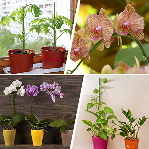 10Pcs Plant Stakes,Plant Sticks,Garden Green Bendable Single Stem Plant Support Stakes for Indoor and Outdoor Plants,Potted Plants,Flowers Orchid Peony Rose-15 Inches - size: 15 Inches