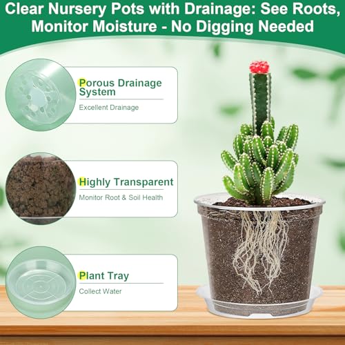 Jollidecor 45Pcs Clear Plastic Nursery Pots with Drainage Holes and Saucers, 3/4/5/6/7Inch Seedling Starter Flower Pots with Tool for Indoor Outdoor Gardening Flower, Herb, Succulent Transplanting - size: 3/4/5/6/7 Inch