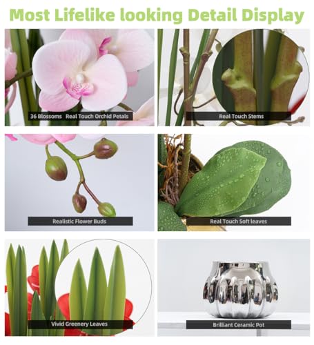 CXGS Artificial Orchid Flower Real Touch Faux Orchids in Ceramic Vase Large 22.9'' Fake Flowers Pink Phalaenopsis Floral for Home Indoor Decor - color: Pink- Silver (Large Pot)