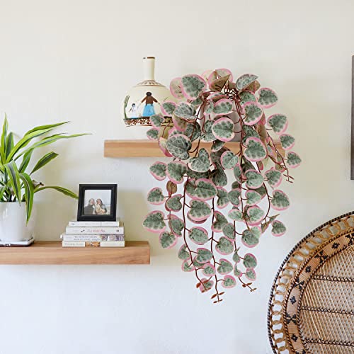 Briful Fake Plants Indoor 16'' Artificial String of Hearts Plants with Ceramic Pot Small Faux Draping Vine Plants for Home Bathroom Table Shelf Office Hotel Decor(Pink) - color: Pink