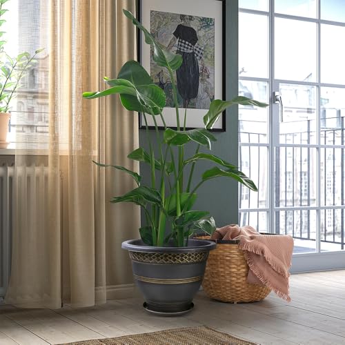 Usocik 8 Inch Plaid Plant Pots 6 Pack with Drainage and Saucers Gold | Gold plaid PP pots with drainage holes and saucers for herbs succulents starter plants shelves windowsills - color: Gold, size: 8 Inches-6 packs