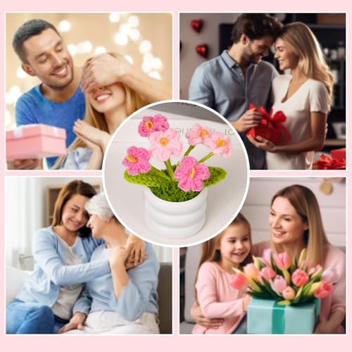 Knitted Flowers Crochet Flower Pot for Desk Car Dashboard Decorations Mother's Day, Valentine's Day, Annniverasry, Birthday Gift for Mom, Girlfriends, Co-Workers (Forget Me Not, Pink) - color: Y: Forget Me Not - Pink