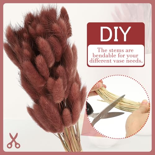 PATIKIL 15.7in Bunny Tails Dried Flowers, 80pcs Pampas Grass Decor Rabbit Tail Natural Pampas Grass Bulk Fluffy Faux Pampas Grass Dried for Home Boho Decor Vase Wedding Table, Brown - color: Brown