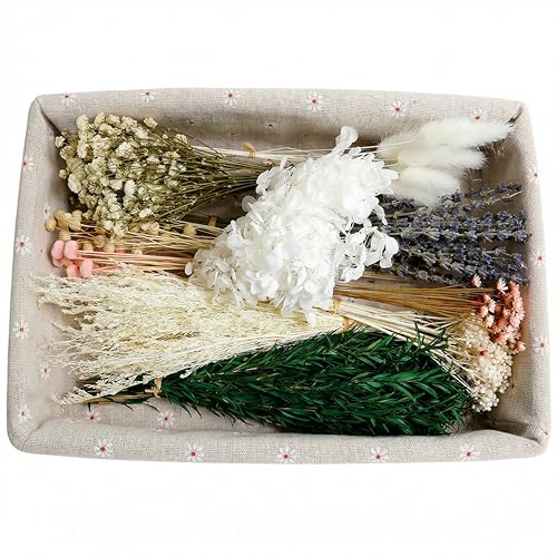LUXEEASE Mixed Mini Dried Flowers Bouquet 176 Stems, 11 Kinds Natural Preserved Flowers (Lavender, Baby's Breath, Bunny Tails) , Boho Farmhouse Home Wedding Centerpiece Décor - color: Natural Neutrals