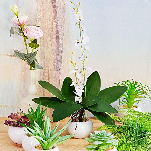 Chuangdi 6 Pcs 10.9 Inch Faux Orchid Leaves Artificial Orchids Leaves Phalaenopsis Stems Leaf Green Leaf Plants Green Faux Stem Latex Cymbidium Stems for Flowers Arrangements Pot Decoration - size: 10.9 Inch