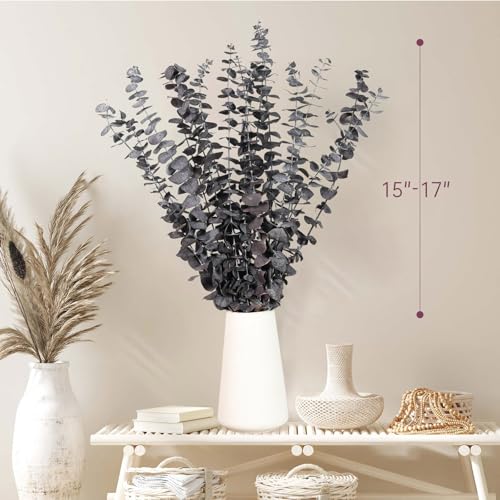 Tavkite 16 Pcs Dried Eucalyptus Stems, 17'' Natural Fresh Eucalyptus Leaves Branches Hanging for Shower, Preserved Real Purple Plant Live for Home SPA Wall Bathroom Wedding Party Vase Decor - color: Purple