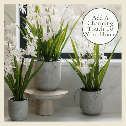 CG Hunter Faux Vanda Orchid Plant, Premium Artificial Indoor Flower Display Stands 22.5”, Beautiful Sculptural Blooms that Lasts Forever, White Planter Pot Included - size: 22.5" Vanda Orchid