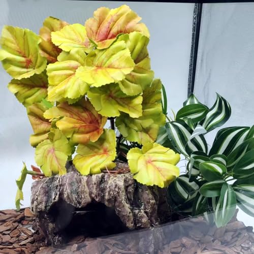 2 Pack Reptile Plants for Terrarium, Amphibian Habitat Decor Artificial Hanging Plants with Suction Cup, Gecko Chameleon Snake Tortoise Tank Accessories-Fake Heuchera Micrantha Yellow - color: Heuchera Micrantha Yellow