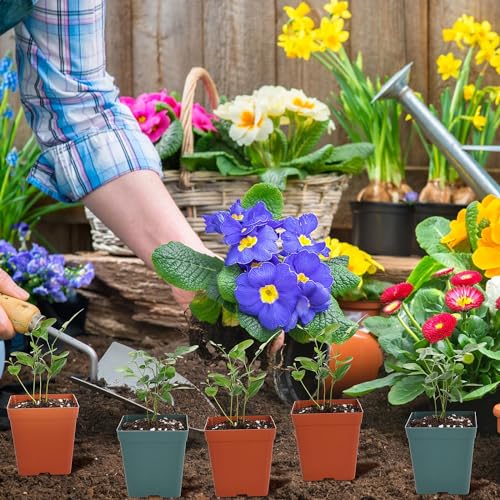 June Fox 100 Pack Green Red Square Nursery Pots with Drainage Holes 3.3 Inches Flexible Plastic Seedling Pots Square Pots for Plants, Succulent, Flower, with Plant Labels - color: Green and Red