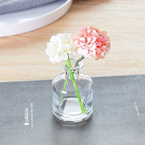 Set of 3 Mini Clear Glass Vase,Small Flower Bud Vase Hydroponics Planter Decorative for Flower,Table,Party,Home,Centerpieces(clear 1) - color: Clear 1