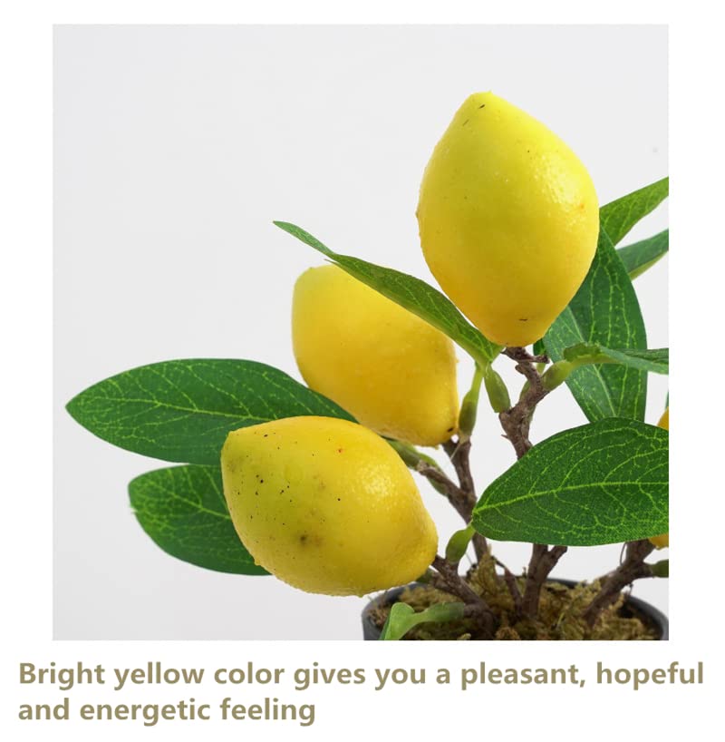 QTMY 2 Pack Artificial Mini Lemon Tree Potted Plants, Nearly Natural Fake Plant Lemon Decor for Kitchen, Indoor, Living Room, Bedroom
