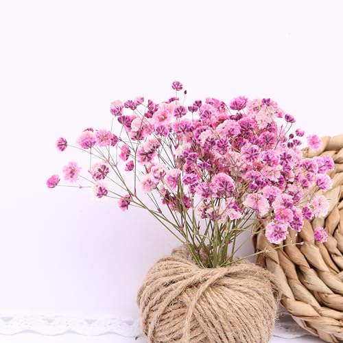 30 Pcs Pink Baby's Breath Real Dried Pressed Flowers.Vacuum-Packed Mini DriedBaby's Breath Flowe Specimen +1 Tweezers, for Resin Art /DIY Making Wedding Card/ Home Party Decor.