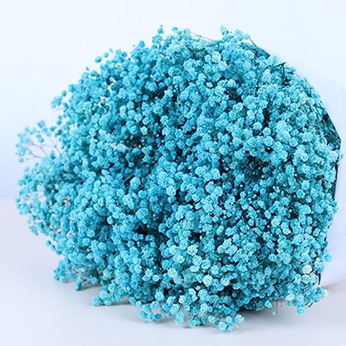 17.2 Inch Dried Flowers Baby's Breath Bouquet - 2500+ Dry Flowers,Natural Gypsophila Branches for Home Decor, Wedding, Table Decor, DIY Wreath Floral, Dry Flowers Bulk for Vase (Blue) - color: Blue