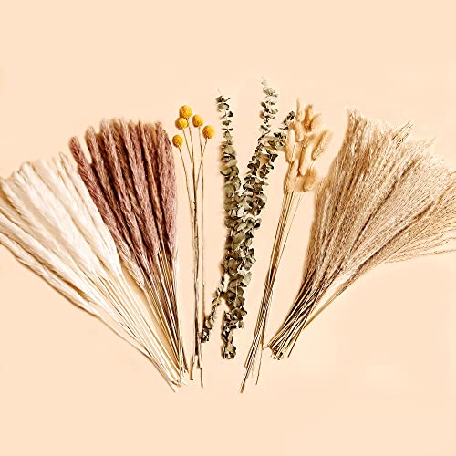 Natural Dried Pampas Grass Bouquet 78pcs 17inch Home Decor, White Pampas & Brown Pampas & Reed Grass & Bunny Tails Grass & Craspedia & Eucalyptus, Boho Wedding Decor Flowers Arrangement