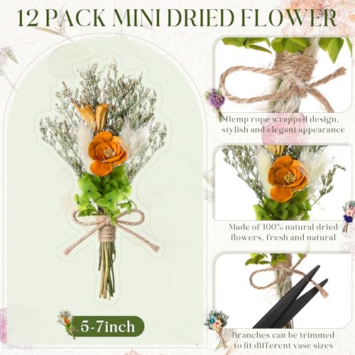 Layhit 12 Pcs Boho Dried Flower Bouquet Mini Wedding Handmade Dry Flowers Decor for Vase Crafts DIY Photo Boutonniere for Men Floral Plant for Bridesmaid Gift Birthday Decor(Camellia) - style: Camellia