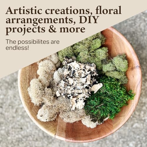 Quality Growers - The Moss Collection Variety Pack - Natural Decorative Moss - Crafts, Home Decor, Art, Design & DIY Projects - Non-Toxic - Made in USA - Original, Small, 2-Pack - color: Original, size: Small (2-Pack)