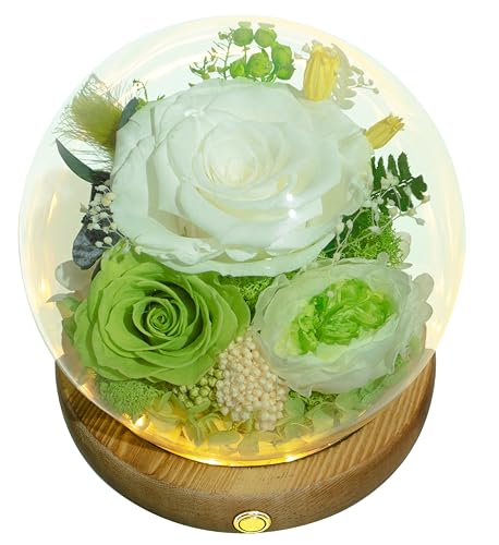 Valley of Rain & Forest Long-Lasting Real Flowers, Unique Floral Gift For you to send Love for All Occasions, for Indoor Decoration (White & Green Roses Arrangement) - color: White Rose, Green Rose