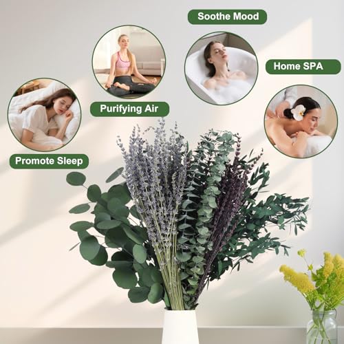 120+ Pcs Mixed Dried Eucalyptus & Lavender Flowers for Shower, Preserved Natural Eucalyptus Leaves for Wall Hanging, Plant Fragrance, Dried Florals for Vase Fillers, Wedding, Green Bathroom Decor