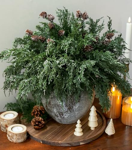 Faux Cedar Stems Artificial Norfolk Pine Branches for Christmas Decor, 12 PCS Fake Pine Stems with 2 PCS Pine Cones Branches Real Touch Realistic Faux Greenery for Vases DIY Garland Xmas Table Indoor - color: 12 Pcs Cedar Stems, 2 Pcs Small Pinecone Stems