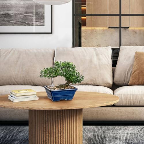 Artificial Bonsai Tree Faux Plants Indoor Fake Plants Decor with Blue Square Ceramic Pots for Home Table Office Desk Bathroom Shelf Bedroom Living Room Farmhouse Decorations - style: Ficus- glaze basin