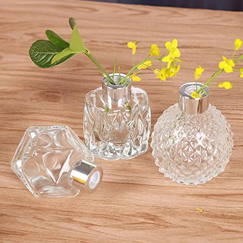 Mini Clear Glass Vase, Small Flower Bud Vase Hydroponics Planter Decorative for Flower, Table, Party, Home, Centerpieces, Transparent Material, 2.36x1.85x2.79 in - color: Clear 7